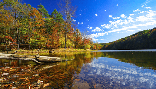 Indiana lake in the fall